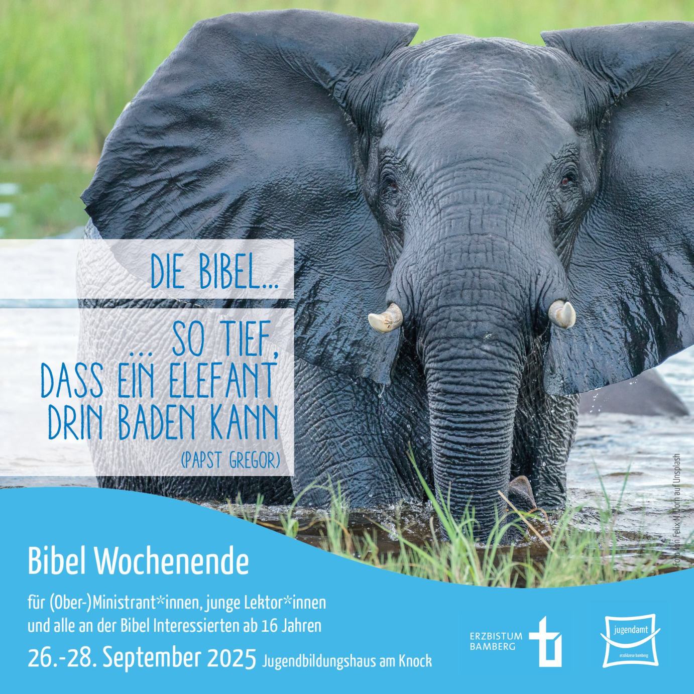 Die Bibel...so tief